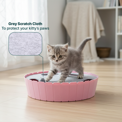 Whack-A-Mole Cat Toy