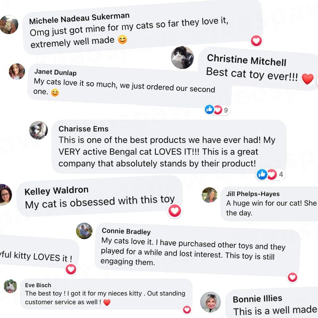 Whack-A-Mole Cat Toy