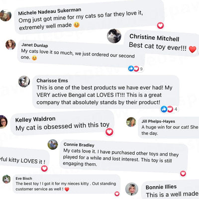 Whack-A-Mole Cat Toy