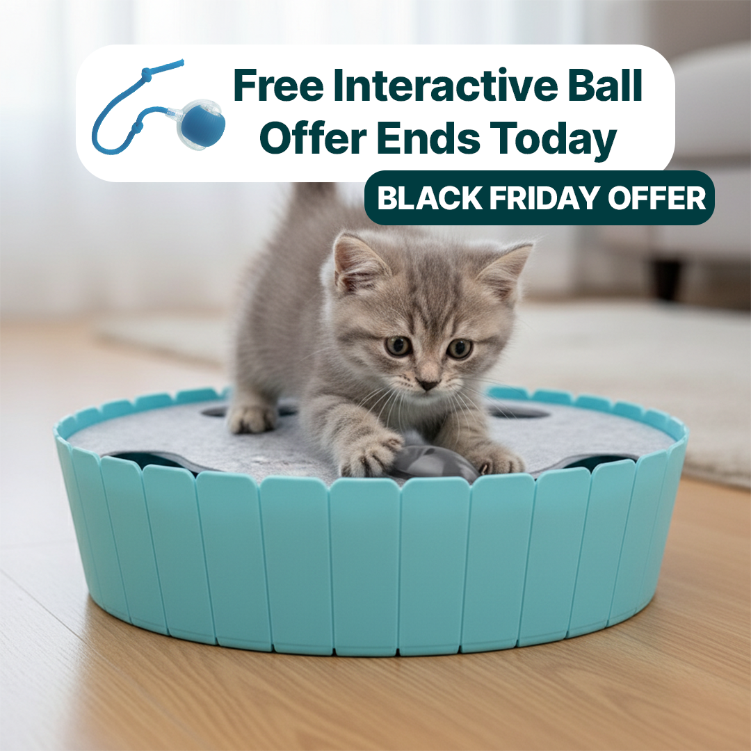 Whack-A-Mole Cat Toy